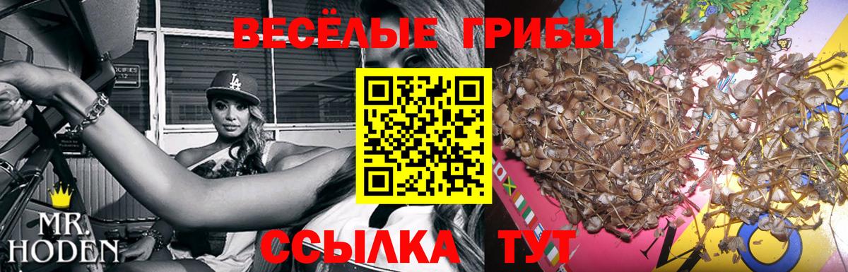 Светлоград  Псилоцибиновые грибы ЛСД  Галлюциногенные грибы MAGIC MUSHROOMS  Вход с VPN 